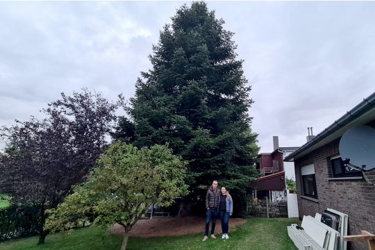 Max Kockartz und Ann Sarlette vor dem Baum, der dieses Jahr zum Weihnachtsbaum auf der Brüsseler Grand-Place wird (Bild: privat)