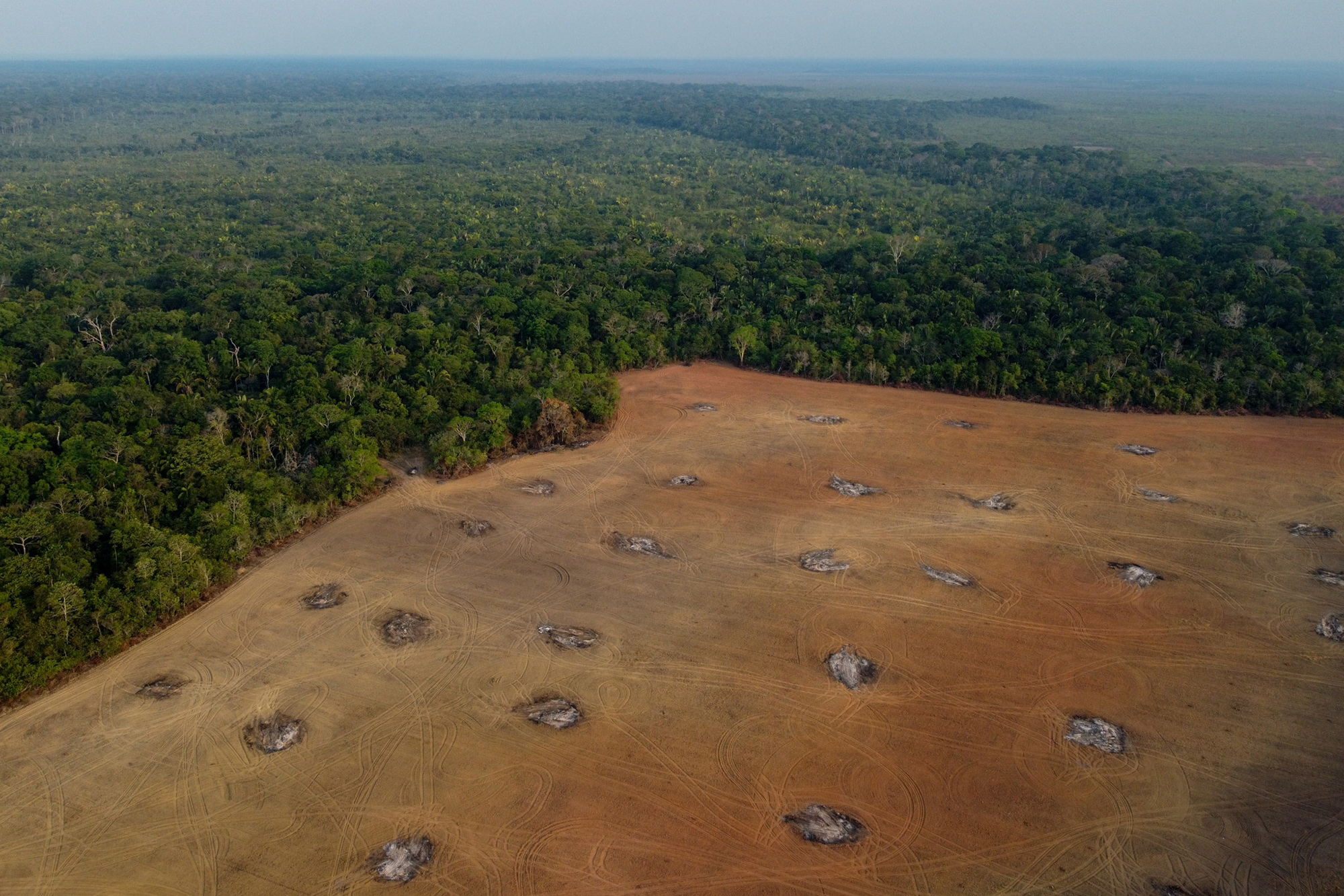 Abholzung im Amazonasgebiet in Brasilien