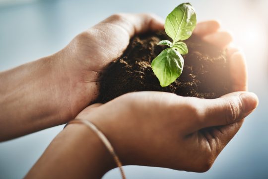 Baumpflanzung (Illustrationsbild: © Yuri Arcurs/PantherMedia)