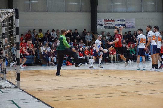 Der HC Eynatten-Raeren musste sich gegen Tournai mit einem 35:35 begnügen (Bild: Stephan Pesch/BRF)