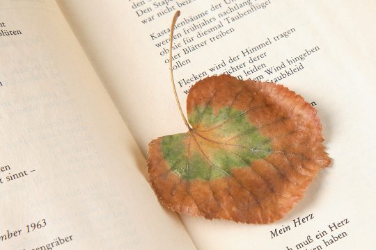 Foto aus dem Buch "Erinnerungen an Amrain" (Bild: Johannes Weber)