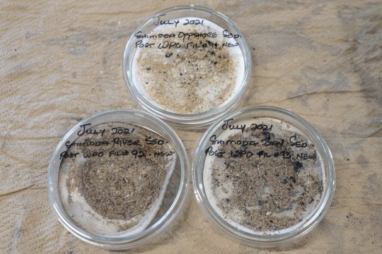 Wasserproben mit Mikroplastik (Illustrationsbild: Charly Triballeau/AFP)