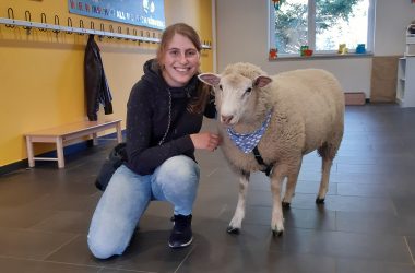 Hausschaf Oskar war auch schon mit Frauchen Evelyne in der Schule (Bild: privat)