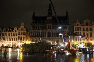 Weihnachtsbaum aus Raeren für Brüsseler Grand-Place (Bild: Christoph Heeren/BRF)