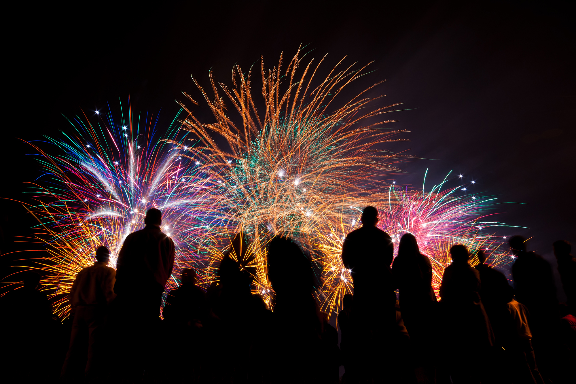Die meisten Menschen mögen Feuerwerk - Tiere nicht (Bild: © Deymosd/Panthermedia)