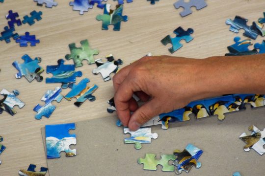 Puzzle-Wettbewerb im St. Vither Triangel 2019 (Bild: Stephan Pesch/BRF)