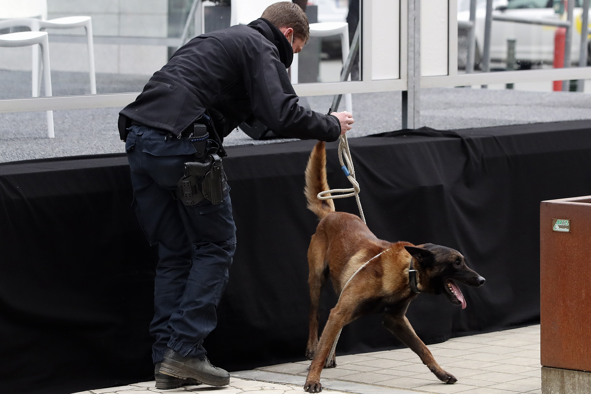 Spürhund der Brüsseler Polizei (Bild: Yves Herman/Pool/Belga)