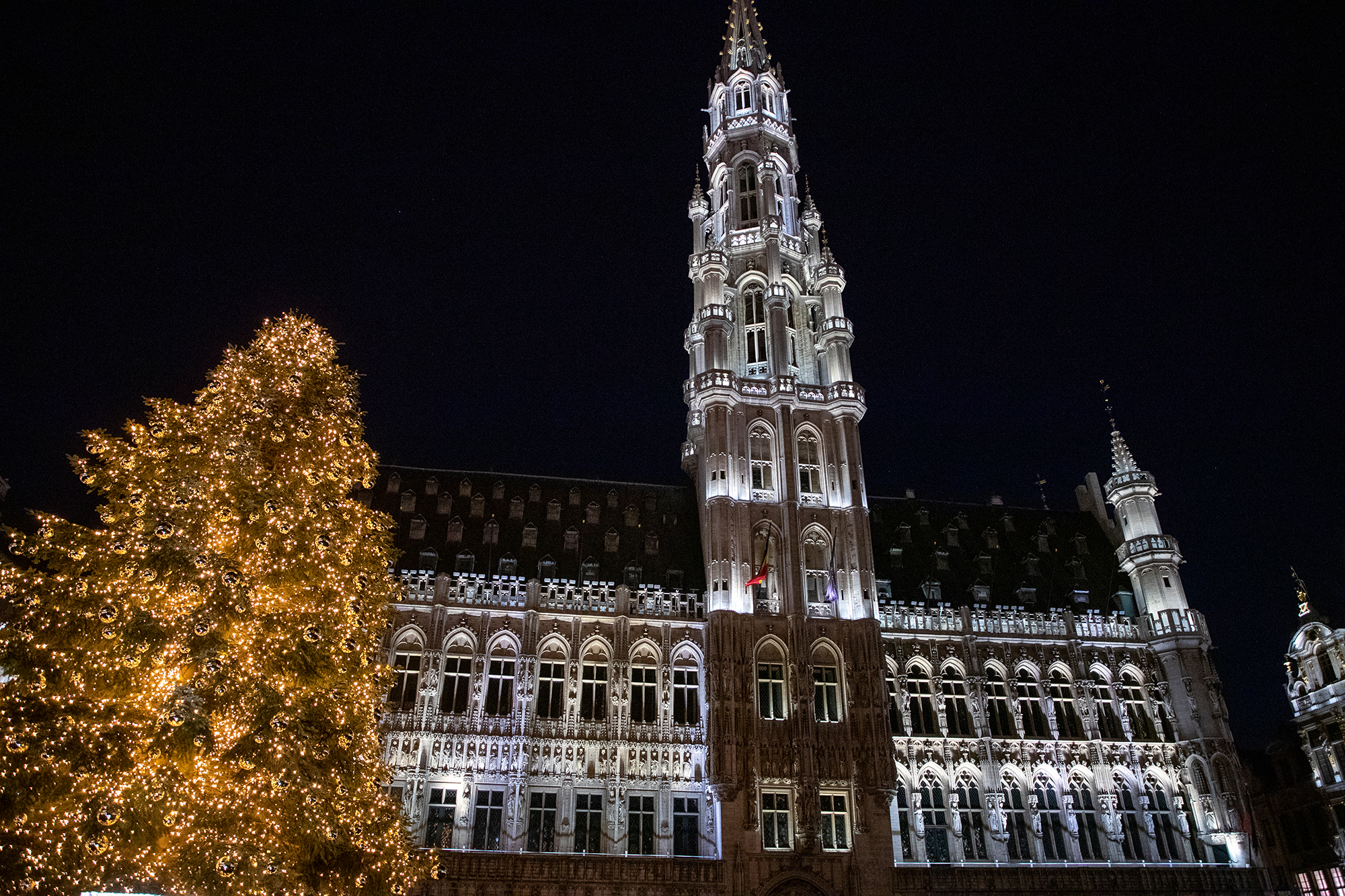 Weihnachtsbaum aus Raeren auf der Grand-Place in Brüssel