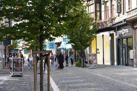 Innenstadt von Verviers (Illustrationsbild: Jean-Luc Flemal/Belga)