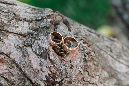 Eheringe (Illustrationsbild: © PantherMedia/Pro_Stocks)