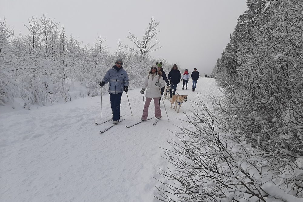 Winterwochenende im Hohen Venn (Bild: Manuel Zimmermann/BRF)