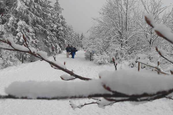 Verschneiter Wanderweg im Venn