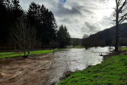 Our bei Steinebrück (Illustrationsbild: Michaela Brück/BRF)