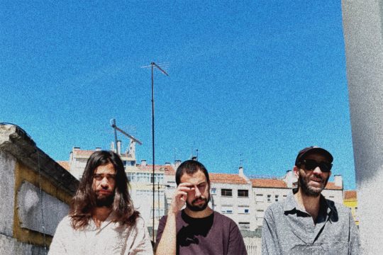 Peachfuzz (Bild: N Lobo)