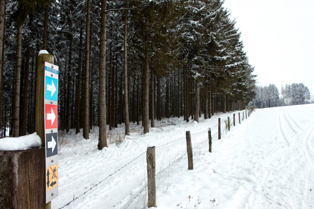 Skivergnügen "im Himmelchen" (Bild: Donovan Niessen/BRF)