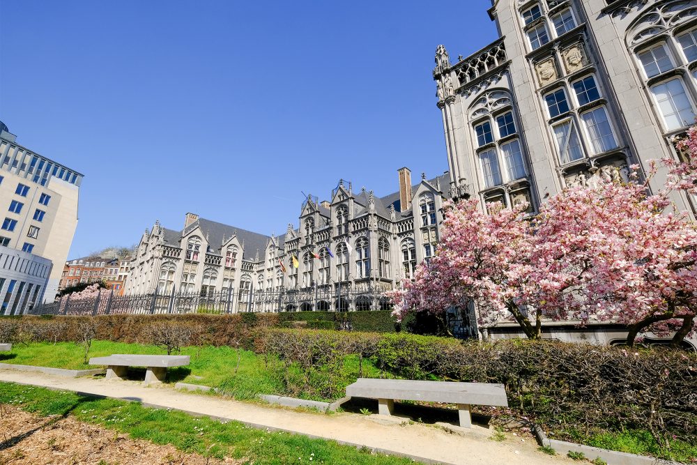 Palais des Princes-Évêques in Lüttich (Bild: Bruno Fahy/Belga)