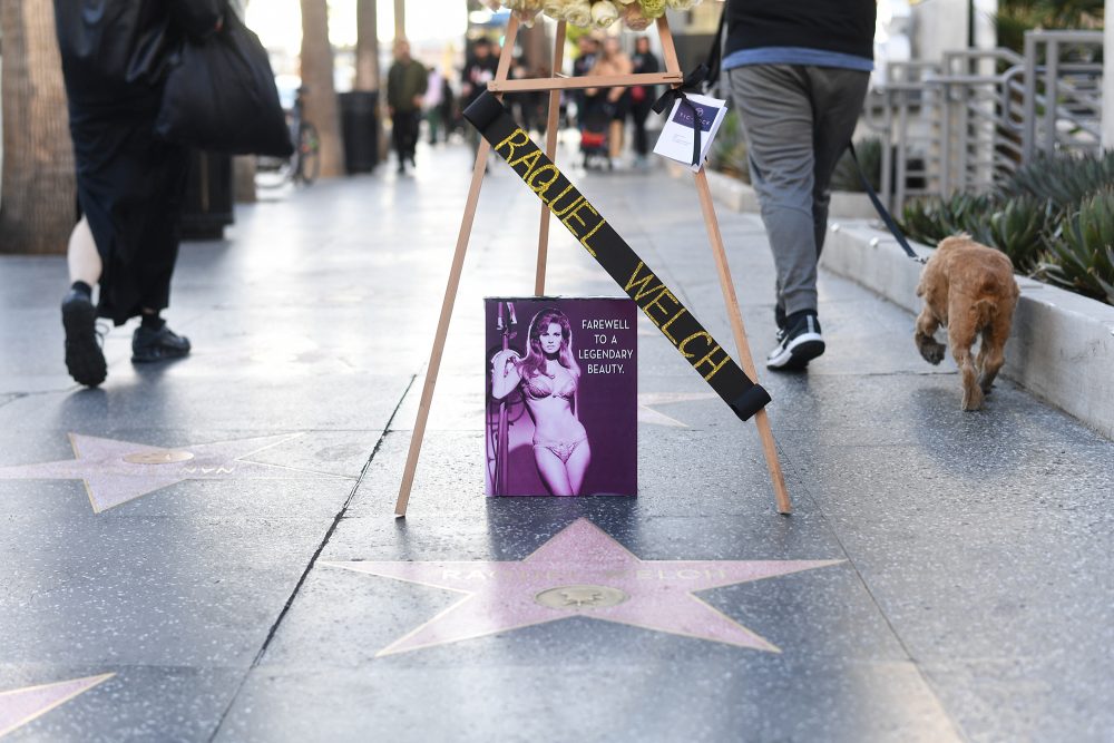 Raquel Welch (Bild: Valerie Macon/AFP)