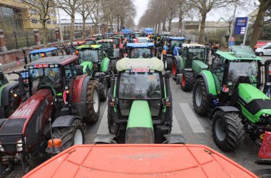 Protest der flämischen Landwirte in Brüssel (Illustrationsbild vom März 2023: Hatim Kaghat/Belga)