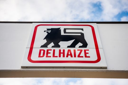Logo von Delhaize (Archivbild: Laurie Dieffembacq/Belga)