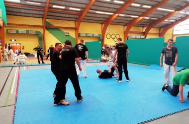 Internationaler Lehrgang für Kampfkunst in Herbesthal ein voller Erfolg (Bild: Lindsay Ahn/BRF)