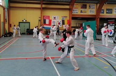 Internationaler Lehrgang für Kampfkunst in Herbesthal ein voller Erfolg (Bild: Lindsay Ahn/BRF)