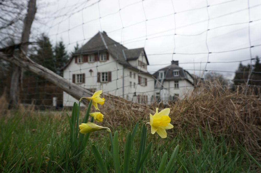 Frühlingserwachen: Für das seit langem leer stehende Kloster Montenau gibt es nun endlich eine Lösung (Bild: Stephan Pesch/BRF)