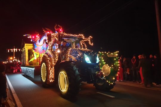 Nachtkarnevalszug in Grüfflingen (Bild: Lena Orban/BRF)