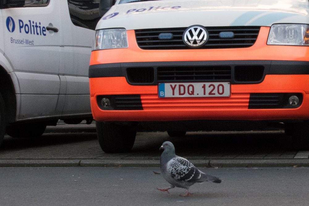 Polizeiautos in Brüssel (Bild: Benoit Doppagne/Belga)