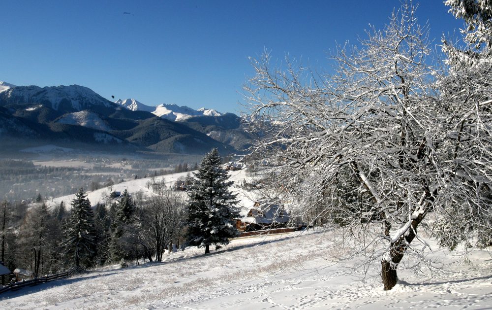 Das Tatra-Gebirge (Bild: Grzegorz Momot/EPA)