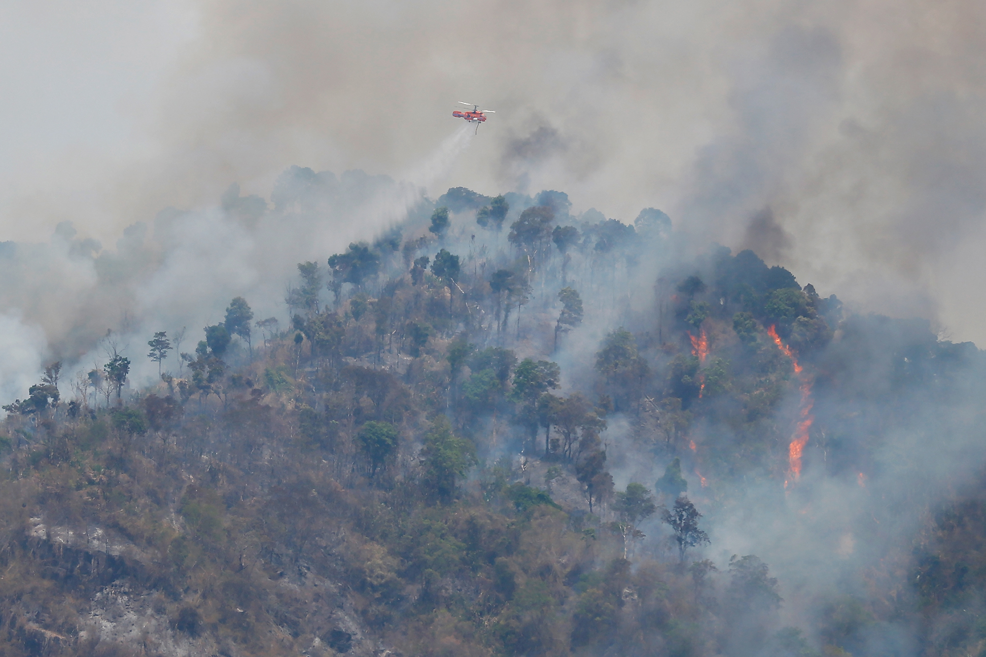Ein Hubschrauber wirft über einem Waldbrandherd auf dem Berg Khao Laem in der Provinz Nakhon Nayok, nordöstlich von Bangkok, Wasser ab (Bild: Panumas Sanguanwong/Thai News Pix/AFP)