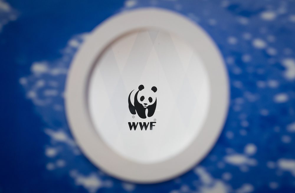 Logo von WWF (Bild: Benoit Doppagne/Belga)