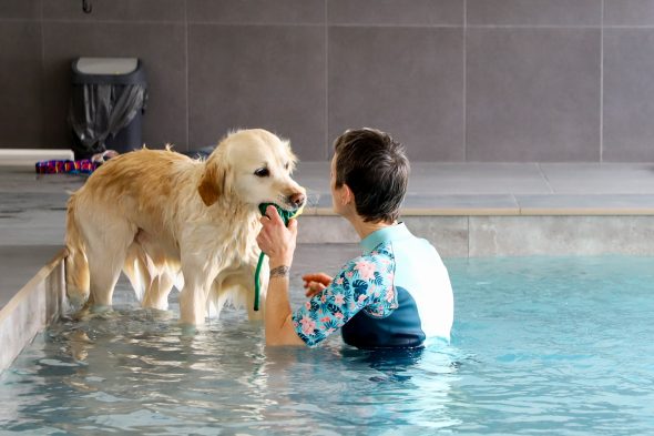 Hundschwimmbad "Aquadog" in Aywaille (Bild: Julien Claessen/BRF)