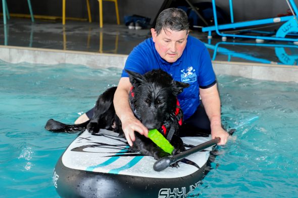 Hundschwimmbad "Aquadog" in Aywaille (Bild: Julien Claessen/BRF)