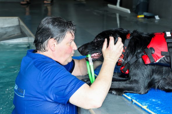 Hundschwimmbad "Aquadog" in Aywaille (Bild: Julien Claessen/BRF)