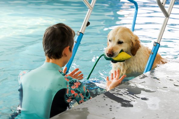 Hundschwimmbad "Aquadog" in Aywaille (Bild: Julien Claessen/BRF)