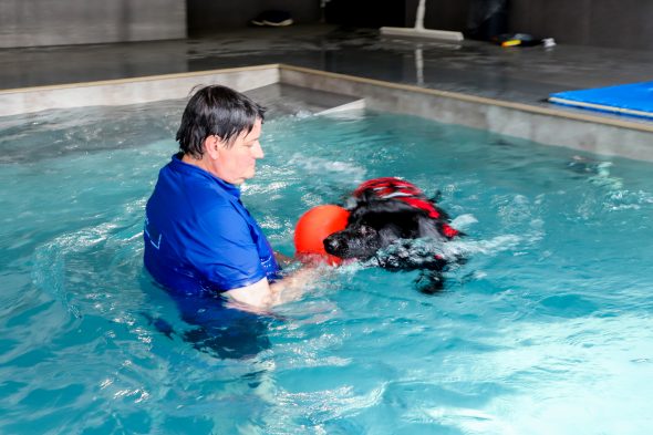 Hundschwimmbad "Aquadog" in Aywaille (Bild: Julien Claessen/BRF)