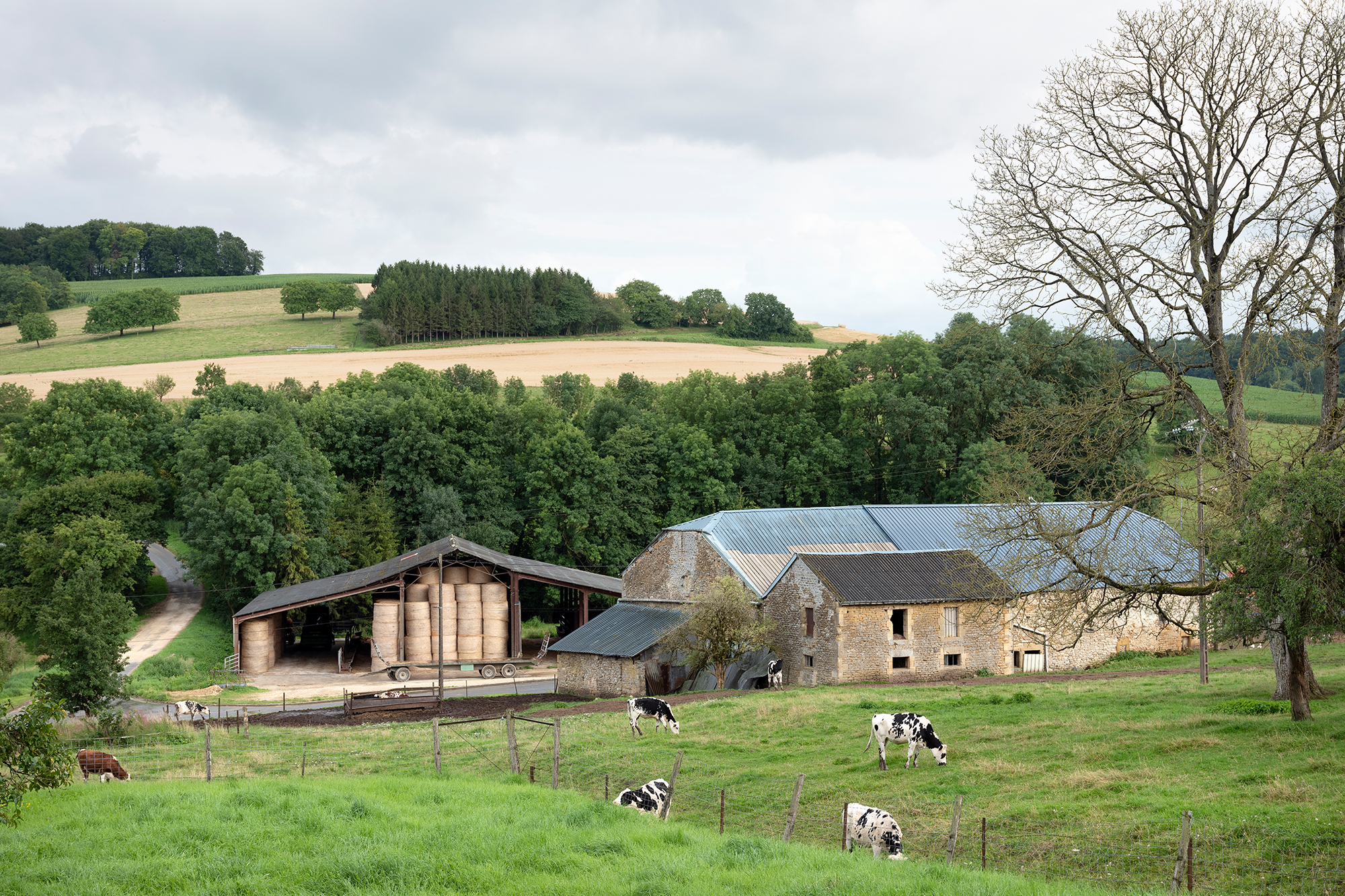Französischer Bauernhof in den französischen Ardennen in der Nähe von Charleville (Illustrationsbild: © Bildagentur PantherMedia/ahavelaar (YAYMicro))