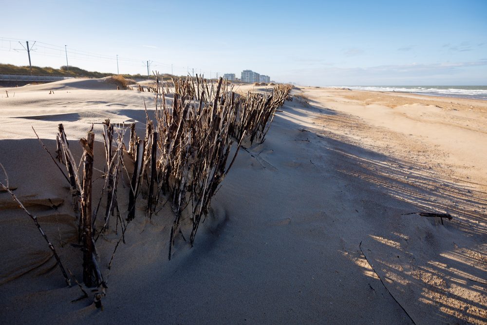 Dünen in Ostende (Bild: Kurt Desplenter/Belga)