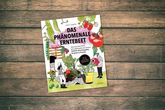 "Das phänomenale Erntebeet" von Doris Kampas (Löwenzahn Verlag)