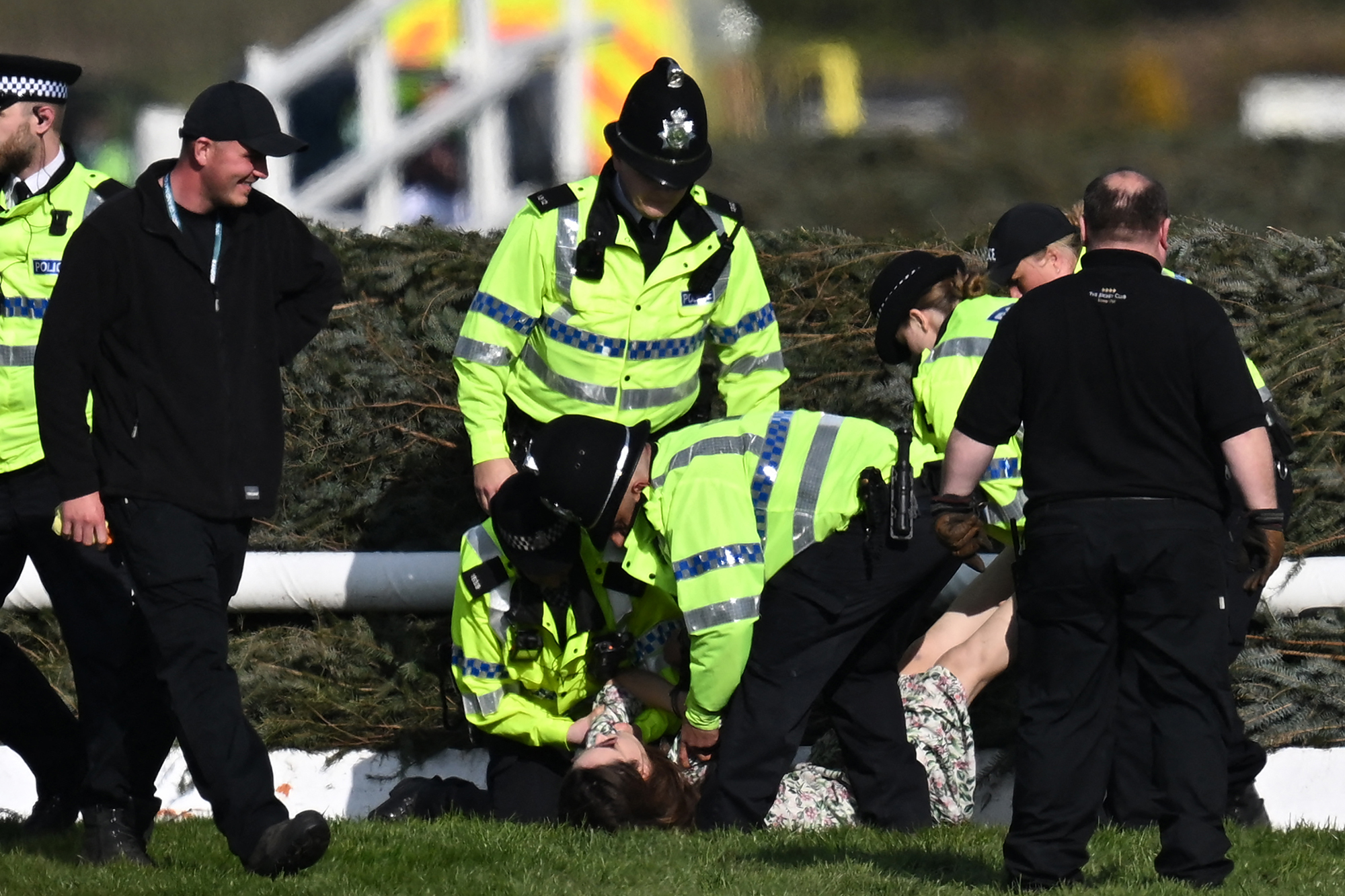 Ein Tierschützer wird von Polizeibeamten am letzten Tag des Grand National Festival Pferderennens auf dem Aintree Racecourse in Liverpool festgenommen (Bild: Paul Ellis/AFP)