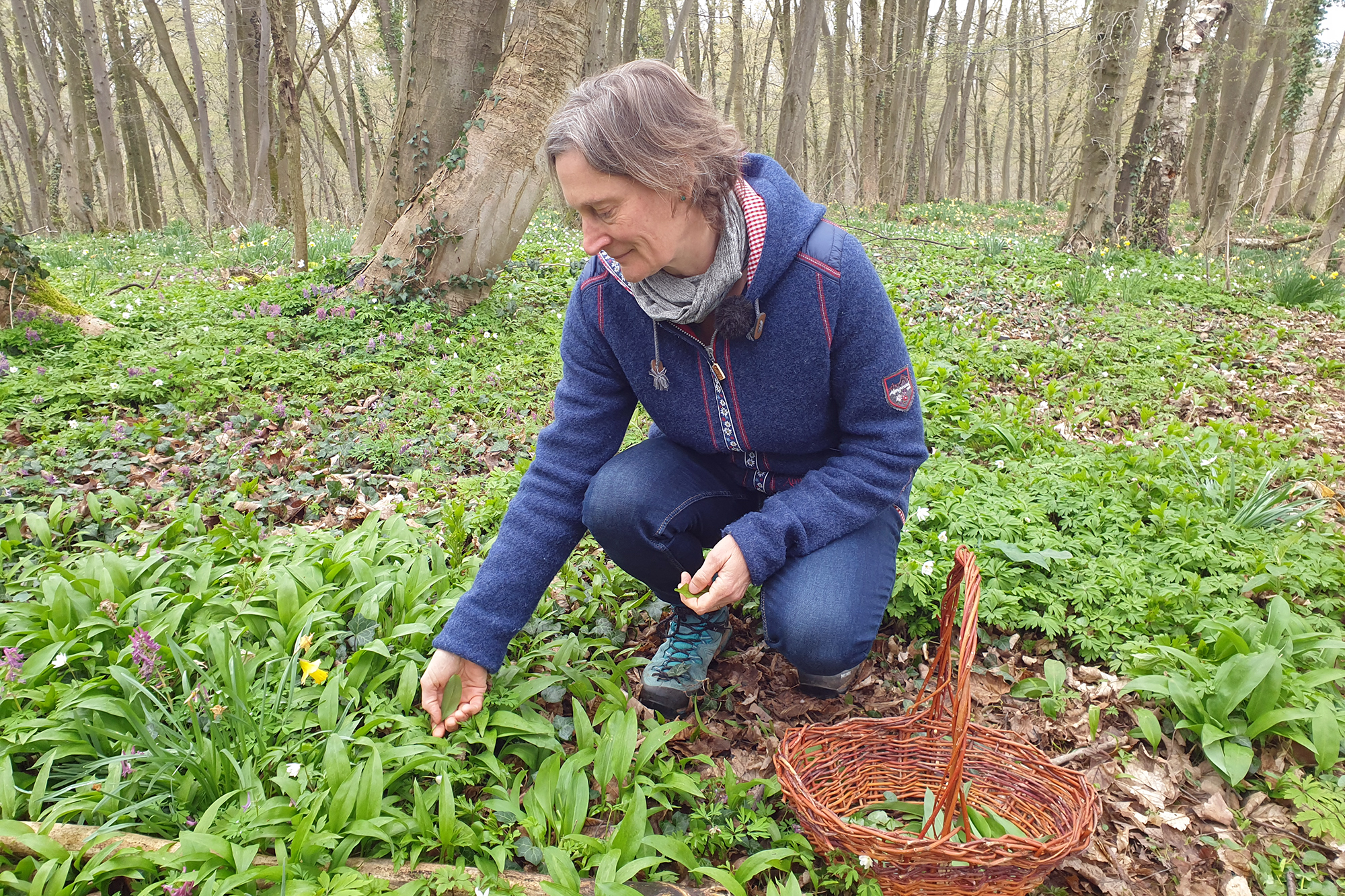 Wildkräuter-Expertin Karin Laschet (Bild: Lena Orban/BRF)