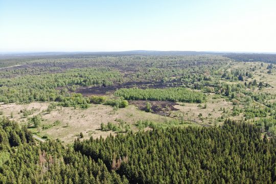 Drohnenaufnahme des Vennbrands (Bild: Cellule D5/Gouverneur de Liège)