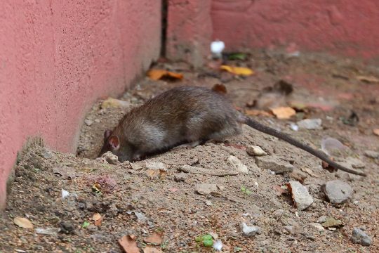 Illustrationsbild: © VerSta/PantherMedia