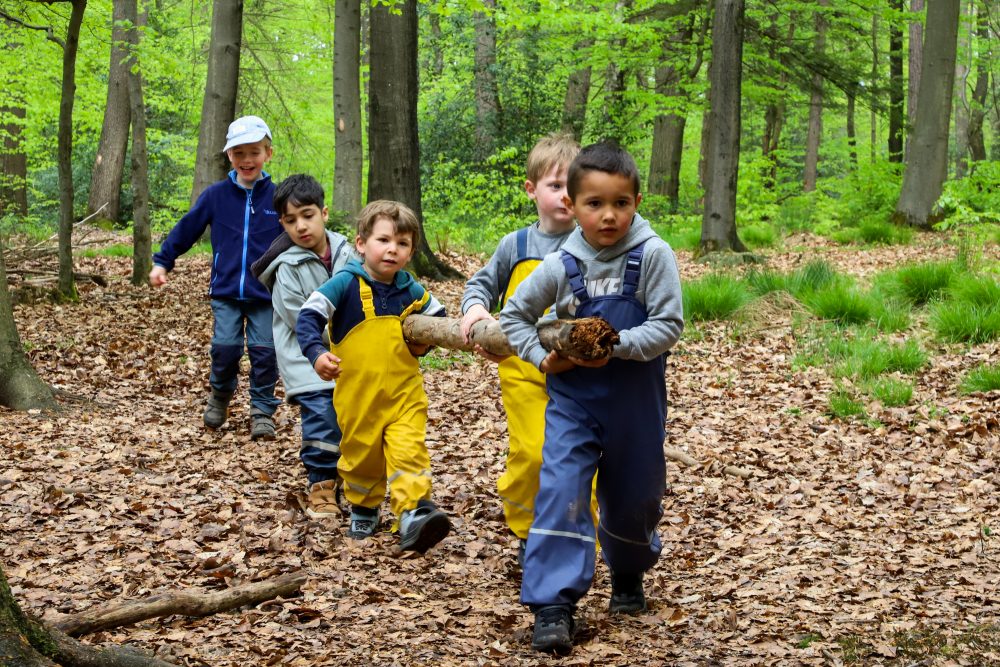 Waldtag der SGO-Kindergartenkinder (Bild: Julien Claessen/BRF)
