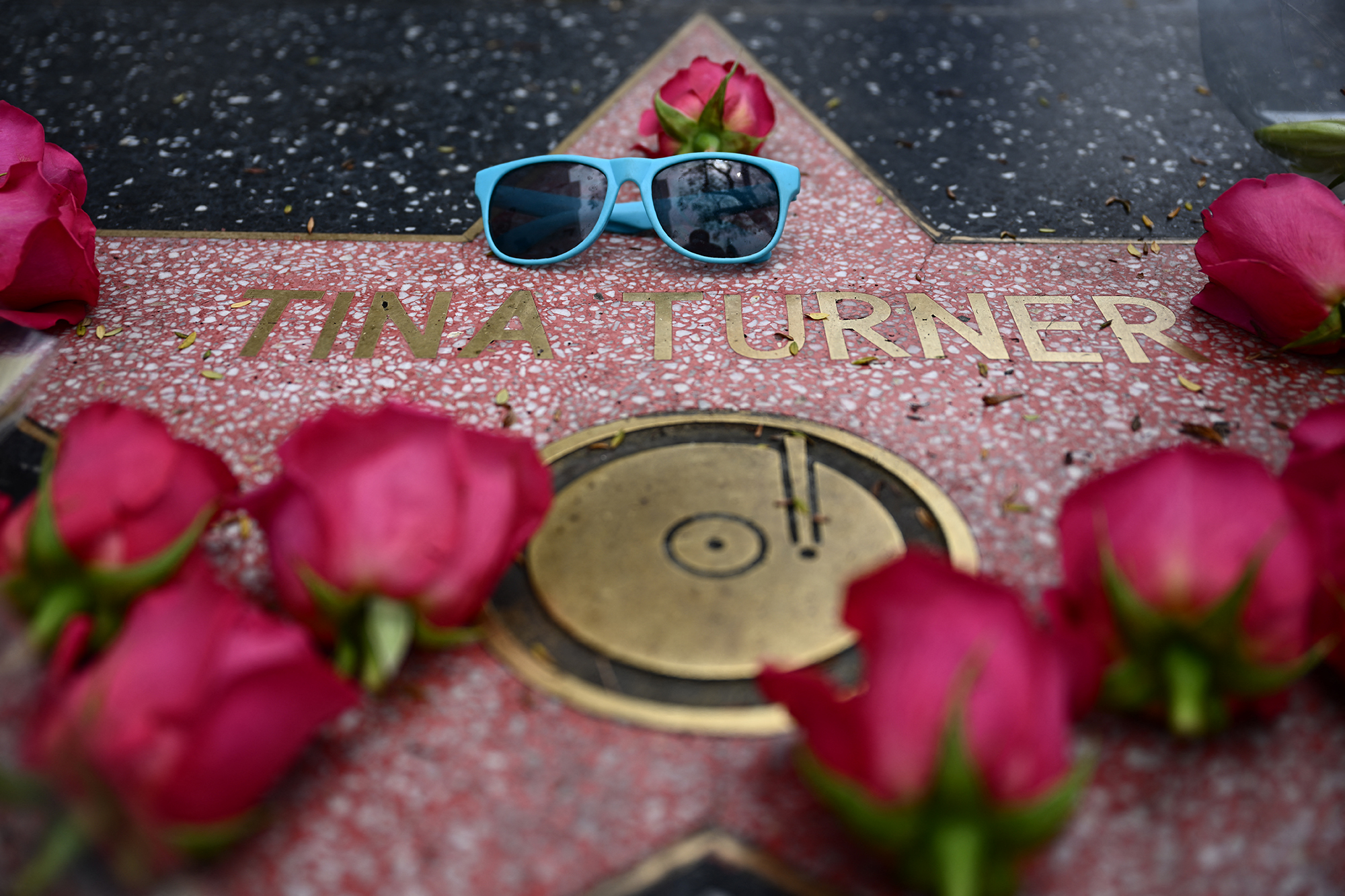 Stern von Tina Turner auf dem "Walk Of Fame" mit Blumen geschmückt (Bild: Patrick T. Fallon/AFP)