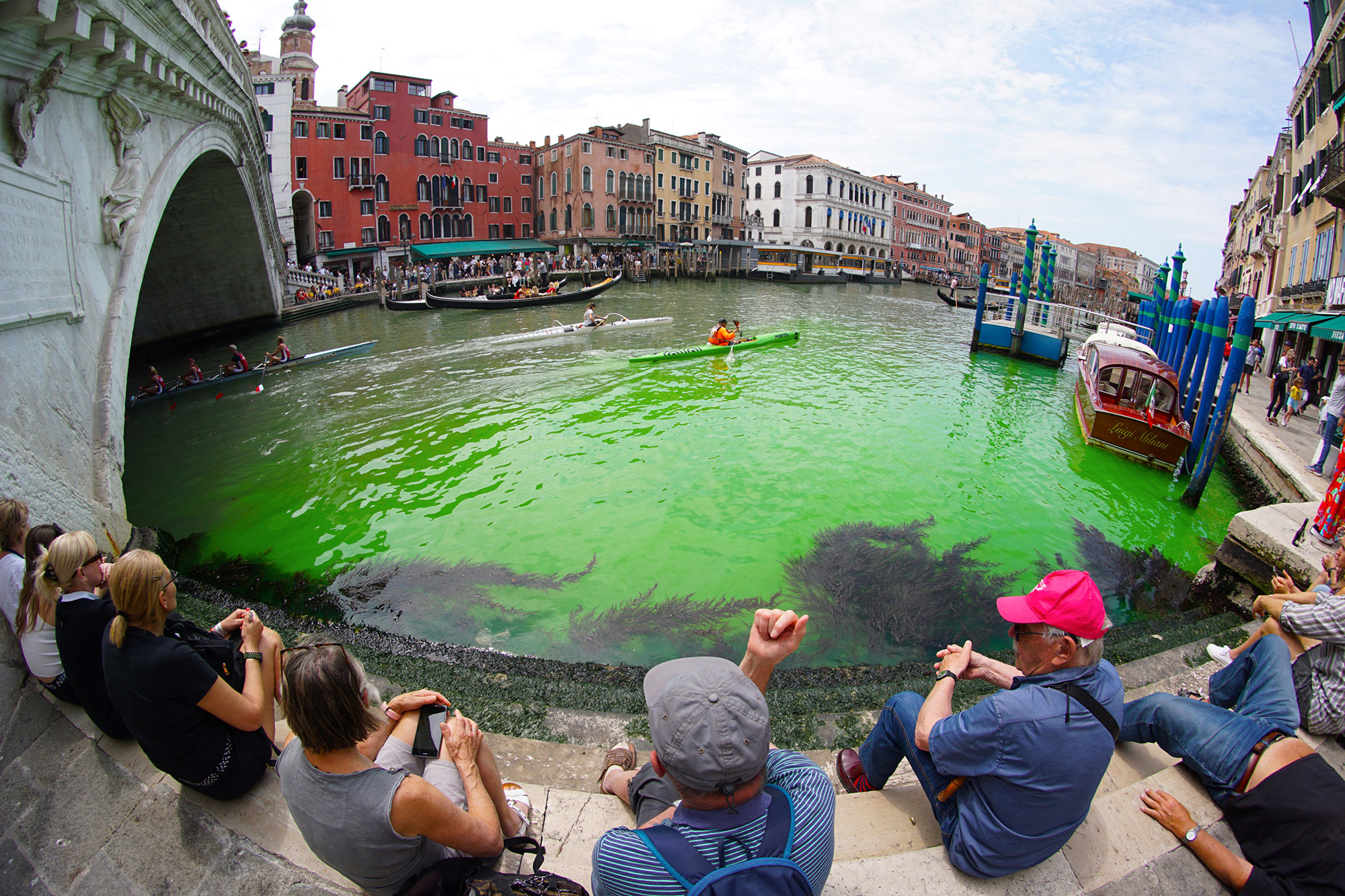 Canale Grande in Venedig grün verfärbt (Bild: Stringer/Ansa/AFP)