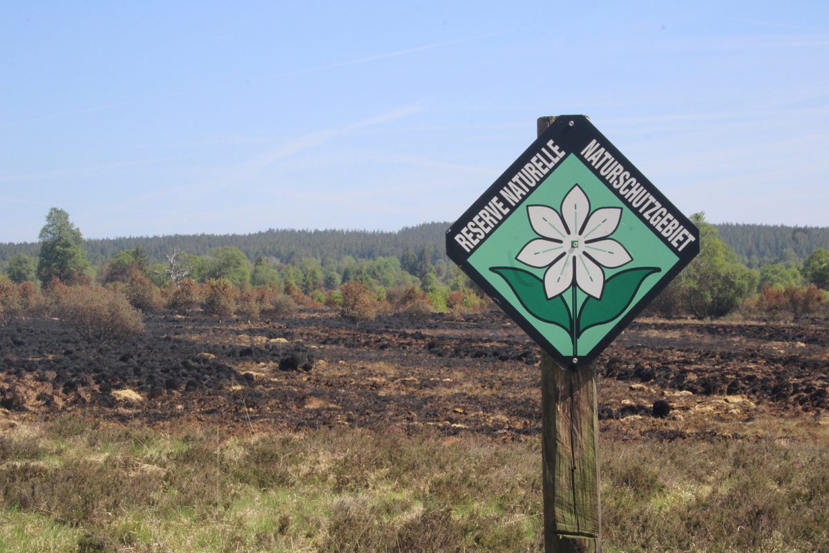 Brand im Hohen Venn gelöscht - Ortsbegehung mit der wallonischen Ministerin Céline Tellier am 1.6. (Bild: Michaela Brück/BRF)