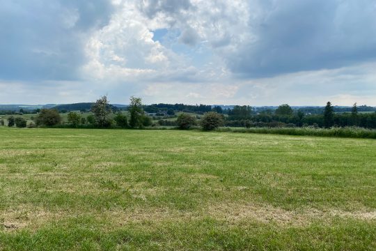 Erweiterung für das Gewerbegebiet II in St. Vith: Diese Fläche südlich des Gebiets kommt in Frage (Bild: Luca Janssen/BRF)