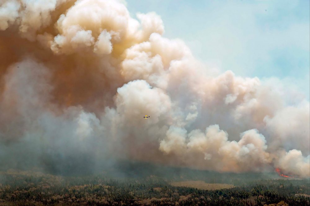 Waldbrände in Kanada (Bild: Nova Scotia Government/AFP)