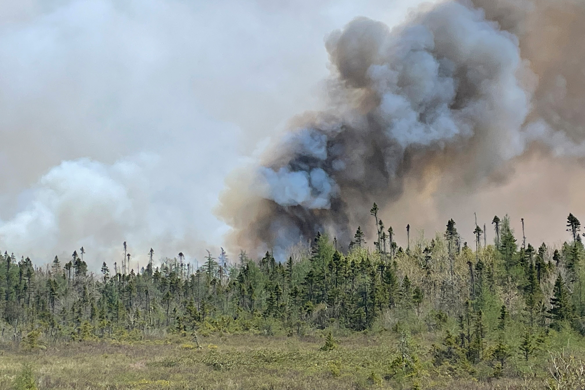 Waldbrand in der Nähe des Barrington Lake in Nova Scotias Shelburne County (Bild: Nova Scotia Government/Department of Natural Resources and Renewables/AFP)